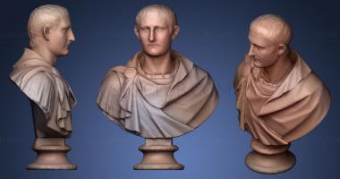 3D model Drusus (STL)